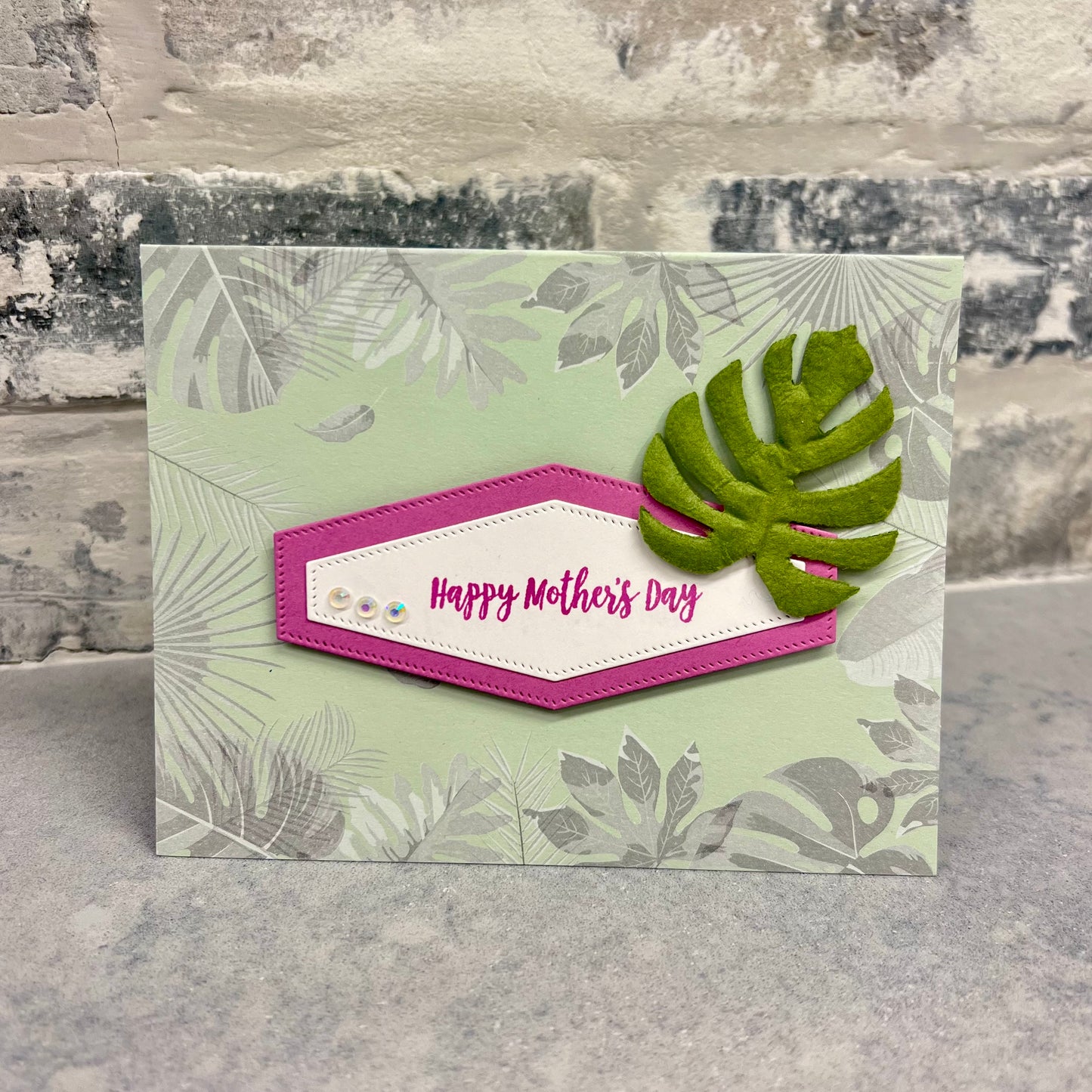 Mother's Day - Monstera and Pink