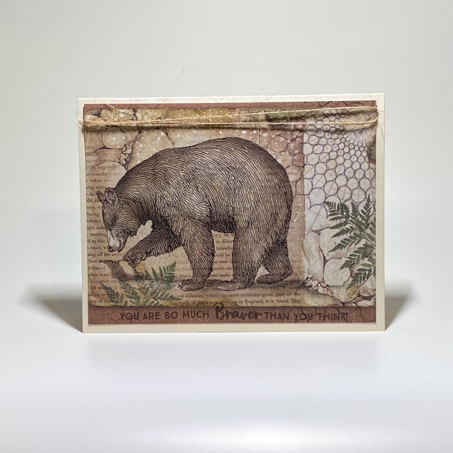 Bear - Braver