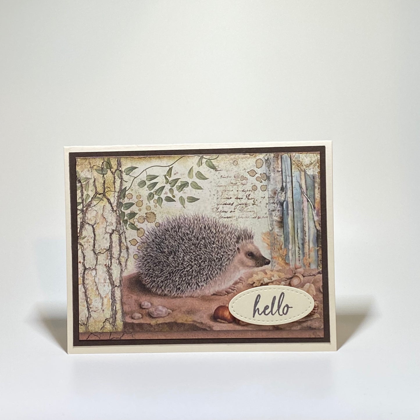 Hello - Hedgehog