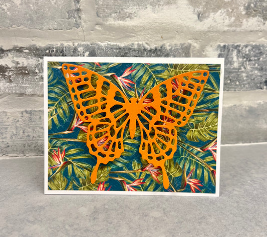 Butterfly - Tropical - Coral